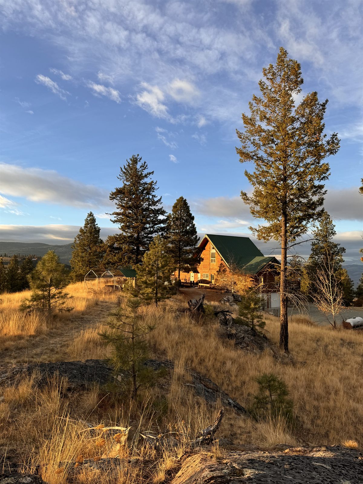 The home and land in golden autumn light.