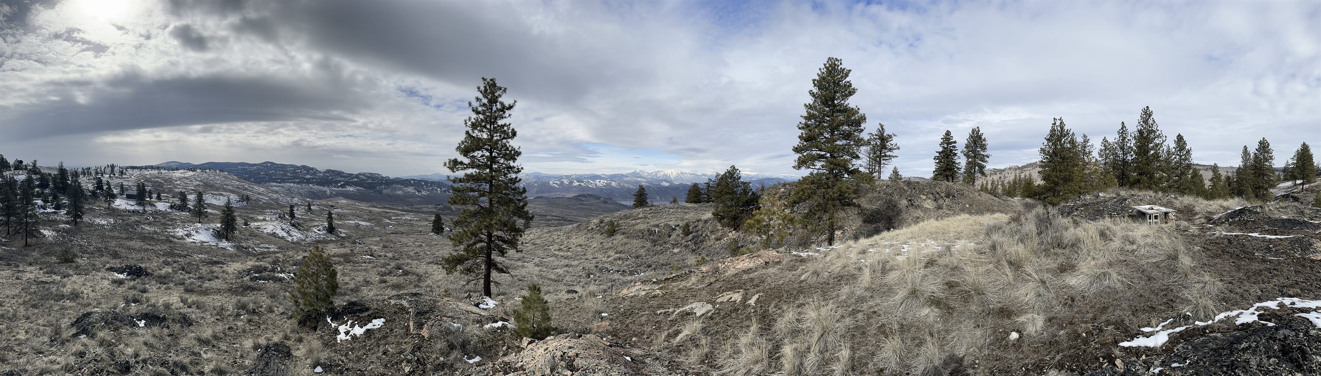 Panorama from the property's hilltop looking across the valley to snow-capped peaks, ponderosa pines in the foreground.