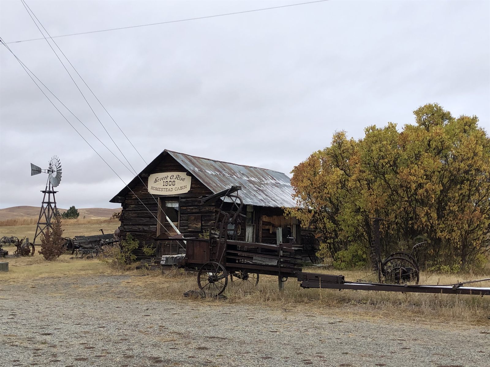An old homestead cabin and windmill at Molson.