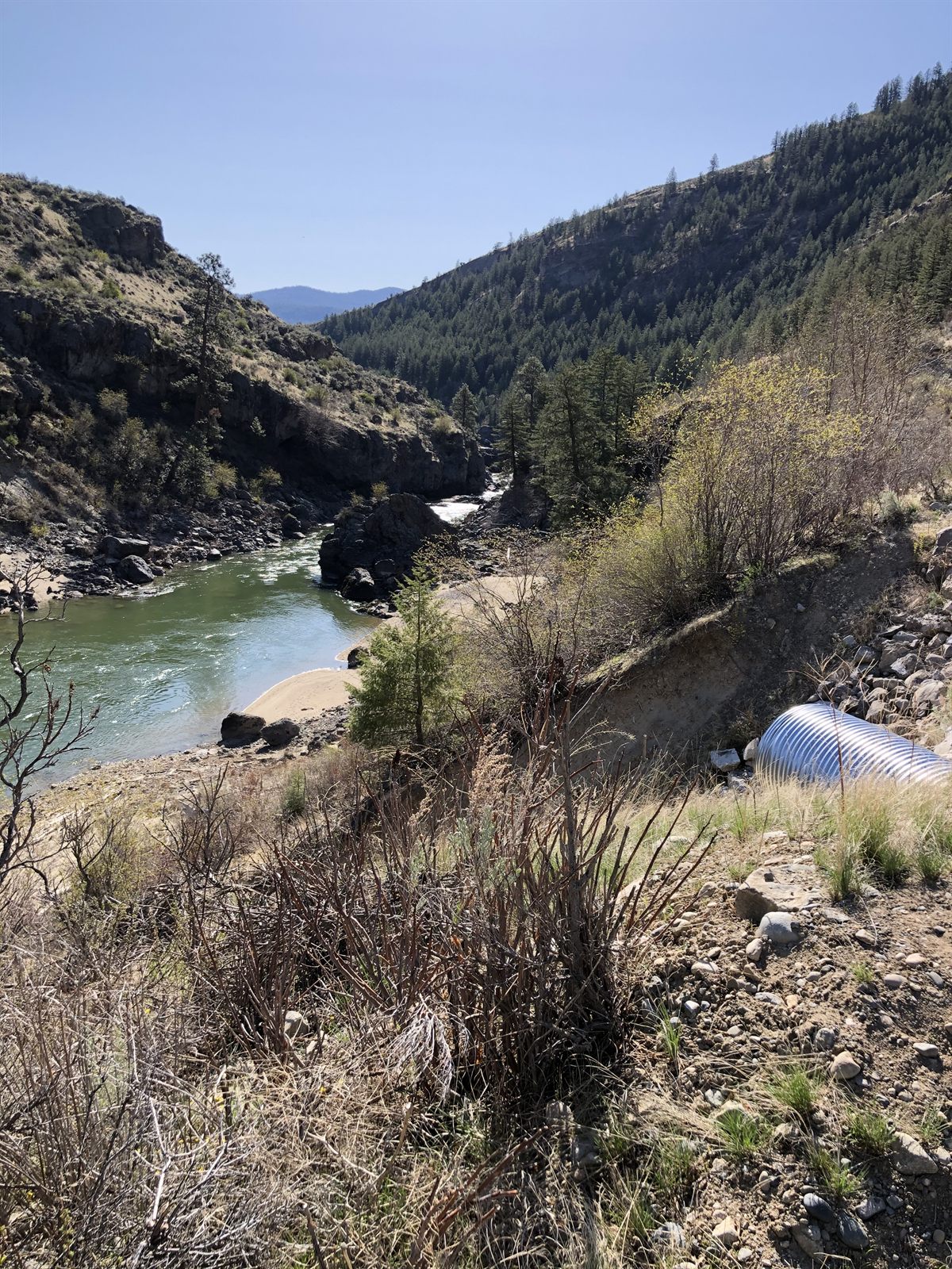 A green river canyon in spring.