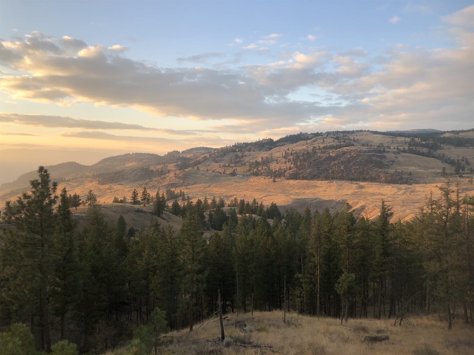 Low golden evening light on the hills to the north, seen from the deck in autumn.