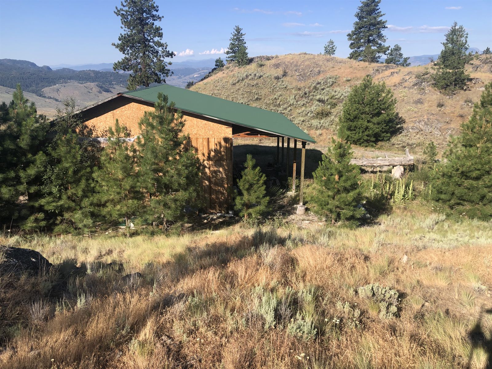 The detached garage/shop with a green metal roof, set in a summer meadow.